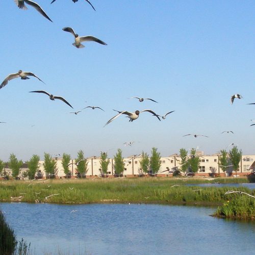 brandbeveiliging Limor ondersteuning en rehabilitatie